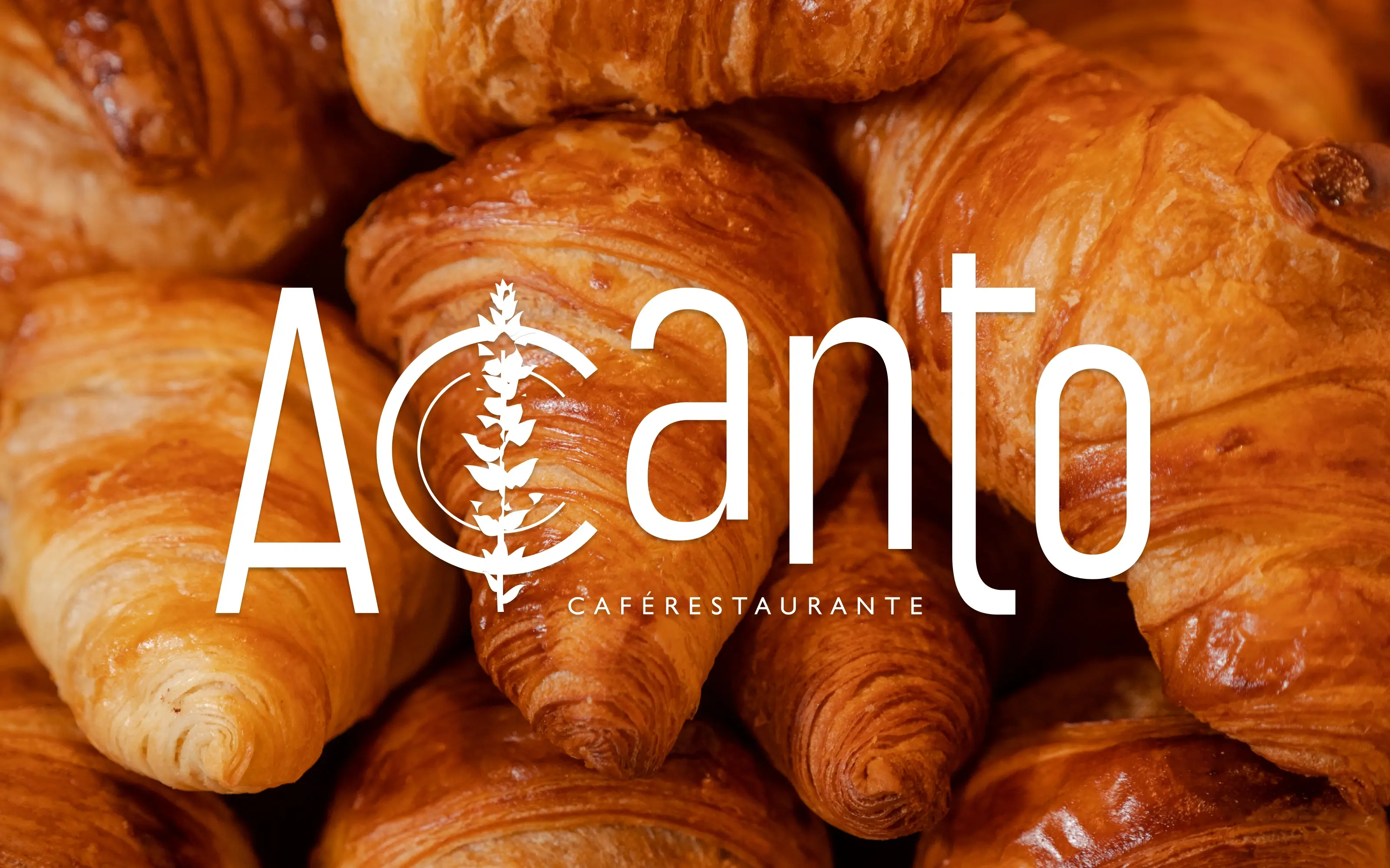 Acanto: proyecto de Social Media, Contenido, Estrategia | Napz Agency
